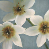 Lily Parfait I Posters par Janel Pahl