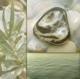 Zen Elements IV Posters par Donna Geissler