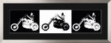 Black Hog, White Hog Posters