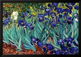 Iris, Saint-Rémy, vers 1889 Posters par Vincent van Gogh