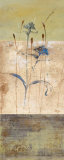 Kimono I Prints by Loretta Linza