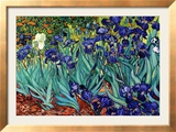 Iris, Saint-Rémy, vers 1889 Posters par Vincent van Gogh