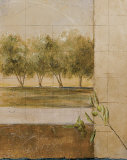 Olive Groves II Poster par Cheryl Martin