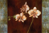 Greige II Prints by Selina Werbelow