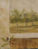 Olive Groves I Prints by Cheryl Martin