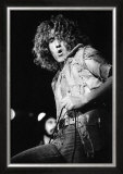 The Who: Roger Daltrey in Ragged Denim, 1971 Posters