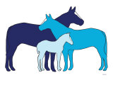Blue Herd Affiche par Avalisa 