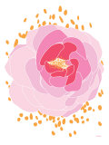 Peonía rosa Pósters por Avalisa