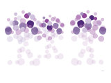 Purple Wonder Reprodukcje autor Avalisa