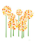 Orange Alliums Affiches van Avalisa Orange Alliums Affiches van Avalisa