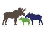 Multi Moose Prints by Avalisa 