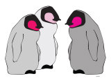 Pink Penguins Affiches par Avalisa 