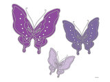 Mariposa púrpura Láminas por Avalisa Mariposa púrpura Láminas por Avalisa