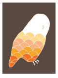 Orange Owl Affiche par Avalisa 