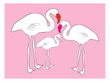 Flamants roses Affiche par Avalisa 