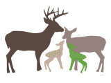Green Deer Plakat af Avalisa