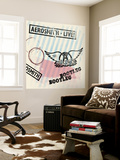 Aerosmith Wall Mural