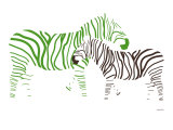 Green Zebra Poster par Avalisa 