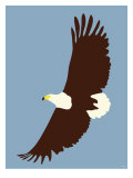Blue Eagle Poster by Avalisa 