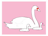 Pink Swan Prints by Avalisa 