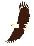 Eagle Poster by Avalisa 