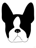 Boston Terrier Print by Avalisa 
