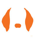 Orange Floppy Ears Print by Avalisa 
