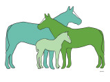 Green Horse Herd Posters by Avalisa 