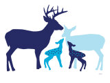 Blue Deer Print by Avalisa 