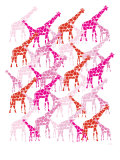 Pink Giraffe Pattern Posters par Avalisa 
