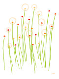 Orange Dandelion Poster by Avalisa 