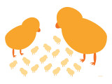 Orange Chicks Poster by Avalisa 