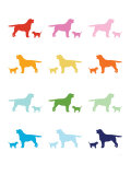 Rainbow Labs Affiche par Avalisa 