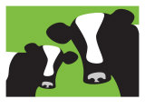 Green Cows Posters par Avalisa 