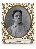 Chicago, IL, Chicago Cubs, Joe Tinker, Baseball Card Prints