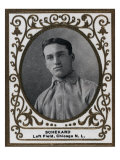 Chicago, IL, Chicago Cubs, Schekard, Baseball Card Prints