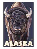 Alaska, Bison Up Close Posters
