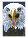 Eagle Up Close Posters