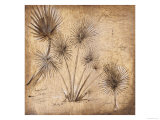 Rain Forest Study III Giclee Print by Susan Gillette