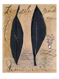 La plus grande dimension Reproduction procédé giclée par Susan Gillette