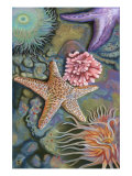 Tidepool Scene Art