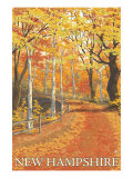 New Hampshire, Fall Colors Scene Pósters
