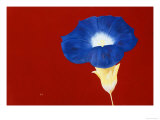 What's The Story, Morning Glory? Lámina giclée por Gregory Garrett