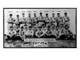 Detroit, MI, Detroit Tigers, Team Photograph, Baseball Card Posters