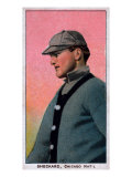 Chicago, IL, Chicago Cubs, Jimmy Sheckard, Baseball Card Prints