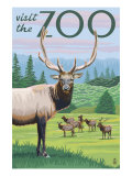 Visit the Zoo, Elk and Herd Prints