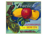 Peacock Brand Apple Label, Watsonville, California Photo