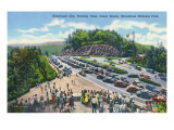Great Smoky Mts National Park, TN, Aerial View of Newfound Gap Parking Aera Print