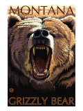 Montana Grizzly Bear Láminas