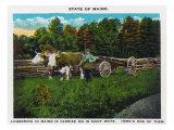 Maine, Lumberjack Hauling Wood with Oxen Team Posters